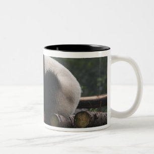 Riesige Pandas im Schutzgebiet für Große Pandas Zweifarbige Tasse