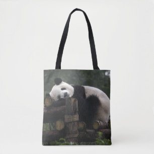 Riesige Pandas im Schutzgebiet für Riesenpandas Tasche