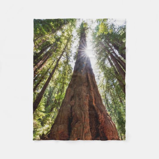 Riesige Redwoods Fleecedecke (Vorderseite)
