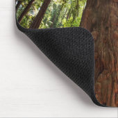 Riesige Redwoods Mousepad (Ecke)
