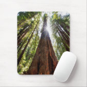 Riesige Redwoods Mousepad (Mit Mouse)