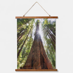 Riesige Redwoods Wandteppich Mit Holzrahmen