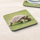 Riesige Schildkröte, die auf Gras geht Untersetzer (Linke Seite)