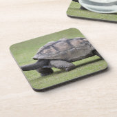 Riesige Schildkröte im Gras Untersetzer (Linke Seite)