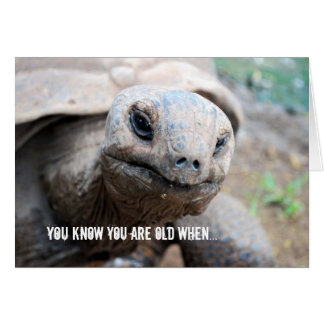 Riesige Schildkröten-Gedächtnis-Versehen