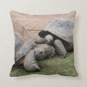 riesige Schildkröten Kissen