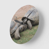 riesige Schildkröten Runde Wanduhr (Winkel)