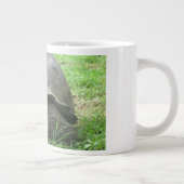 Riesige Schildkröten-Tasse Jumbo-Tasse (Rechts)