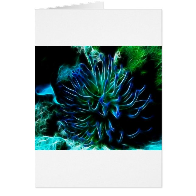 riesige Seeanemone (Vorne)