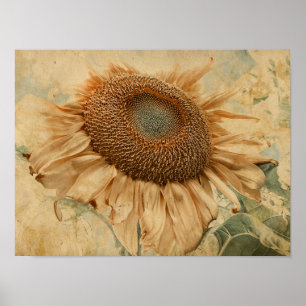 Riesige Sonnenblumen Gelbe Alte Vintage-Decoupage- Poster