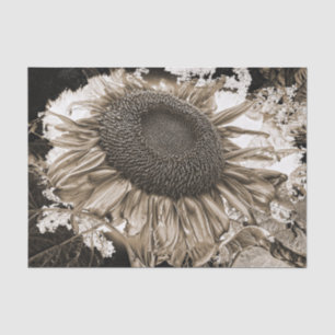 Riesige Sonnenblumen Rustikale Sepia-Tönung Vintag Seidenpapier