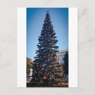 Riesige Weihnachtsbaum-Feiertagsfamilientradition Postkarte