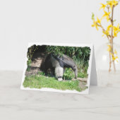 Riesiger Anteater-Gruß-Karte Karte (Gelbe Blume)