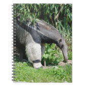 Riesiger Anteater-Notizbuch Notizblock (Vorderseite)
