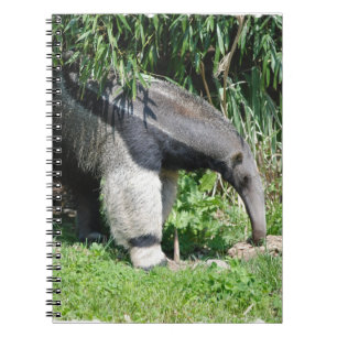 Riesiger Anteater-Notizbuch Notizblock