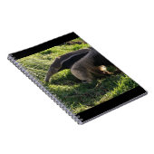 Riesiger Anteater-Notizbuch Notizblock (Rechte Seite)