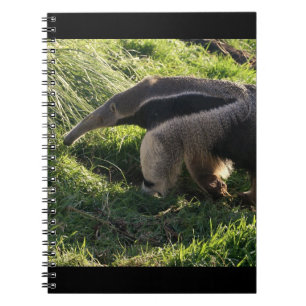 Riesiger Anteater-Notizbuch Notizblock