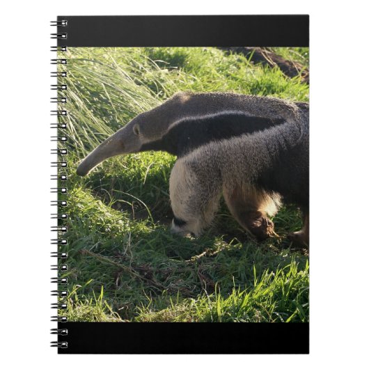 Riesiger Anteater-Notizbuch Notizblock (Vorderseite)