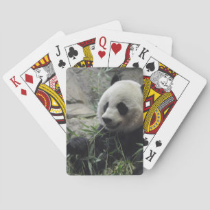Riesiger chinesischer Panda-Bär Spielkarten