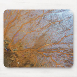 Riesiger gorgonian Seefächer (Plexauridae SP.) Mousepad