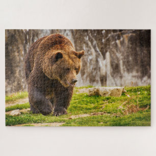 Riesiger Grizzlybär im wilden Tier Puzzle