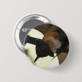 Riesiger indischer Frucht-Schläger Button (Vorne & Hinten)