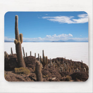 Riesiger Kaktus am Salar de Uyuni mousepad