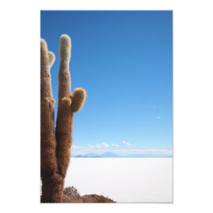Riesiger Kaktus auf dem Fotodruck Salars de Uyuni