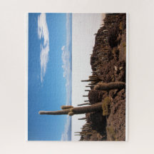 Riesiger Kaktus im Salar de Uyuni in Bolivien