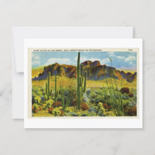 Riesiger Kaktus in der Wüstenlandschaft auf Vintag Postkarte