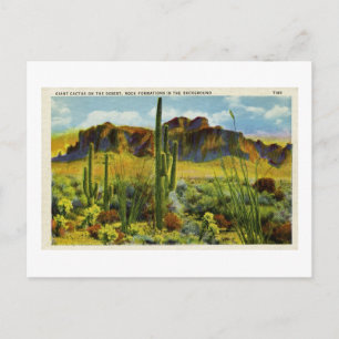 Riesiger Kaktus in der Wüstenlandschaft auf Vintag Postkarte