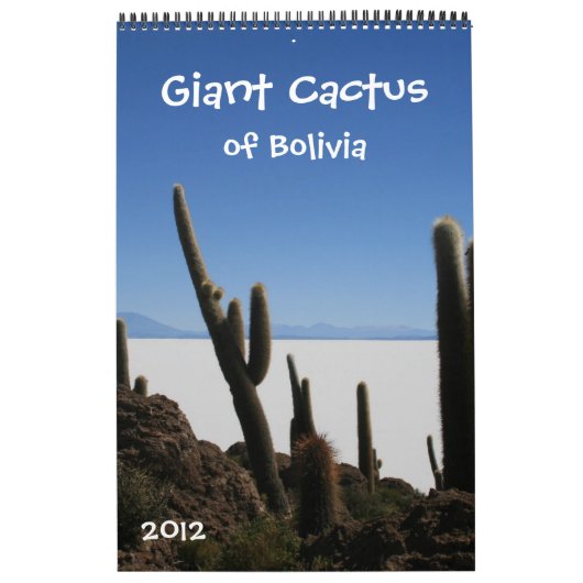 riesiger Kaktuskalender 2012 Kalender (Titelbild)