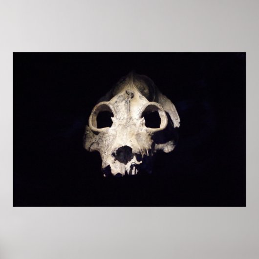 Riesiger Lemur Poster (Vorne)