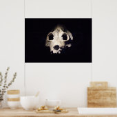 Riesiger Lemur Poster (Küche)