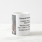 Riesiger Mammutbaum-Baum General-Sherman Kaffeetasse (Mittel)