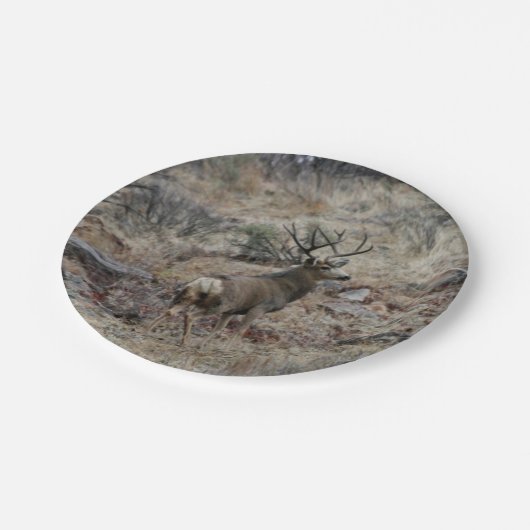 Riesiger Maultierhirschdollar Pappteller (Schrägansicht)