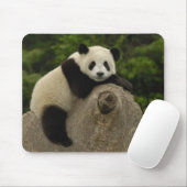 Riesiger Panda-Baby Mousepad (Mit Mouse)
