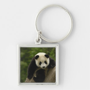 Riesiger Panda-Baby Schlüsselanhänger