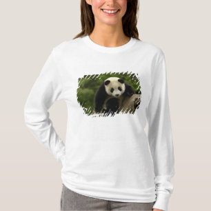 Riesiger Panda-Baby T-Shirt