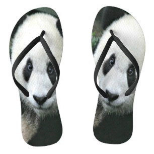 Riesiger Panda, der durch grünes Gras schlendert Badesandalen