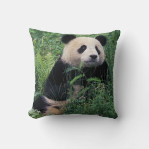 Riesiger Panda im Gras, Wolong-Tal, Sichuan Kissen