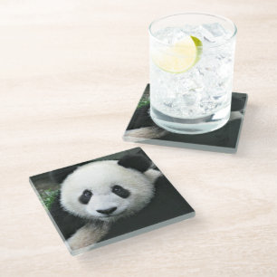 Riesiger Panda im weichen grünen Gras Glasuntersetzer
