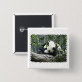 Riesiger Panda-Quadrat-Button Button (Vorne & Hinten)