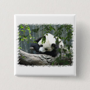 Riesiger Panda-Quadrat-Button Button
