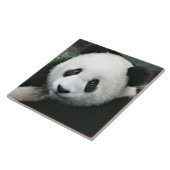 Riesiger Panda ruht auf einer grünen Wiese Fliese (Seite)