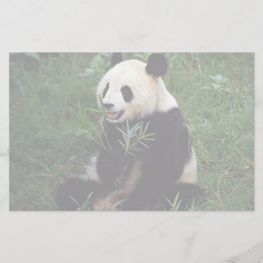 Riesiger Panda, Sichuan-Provinz, China Briefpapier (Vorderseite)