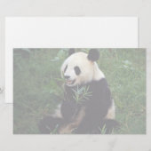 Riesiger Panda, Sichuan-Provinz, China Briefpapier (Vorne/Hinten)