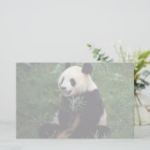 Riesiger Panda, Sichuan-Provinz, China Briefpapier (Stehend Vorderseite)