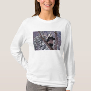 Riesiger Panda steht auf einem Baum, Wolong, Sichu T-Shirt