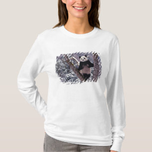 Riesiger Panda steht auf einem Baum, Wolong, Sichu T-Shirt